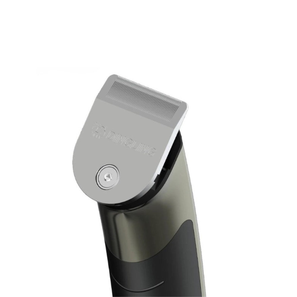 Dinglong Professional Hair Clipper-RF 606C