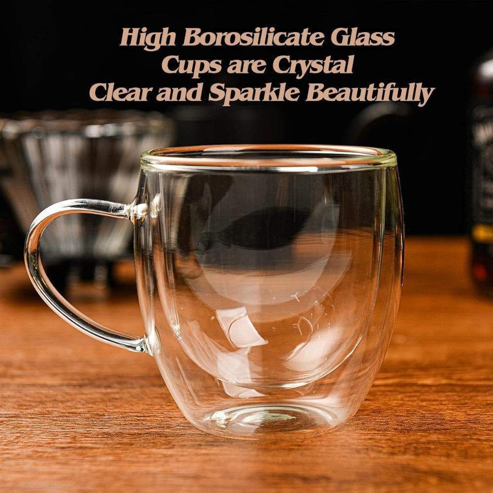 Double Wall Glass Coffee Mug
