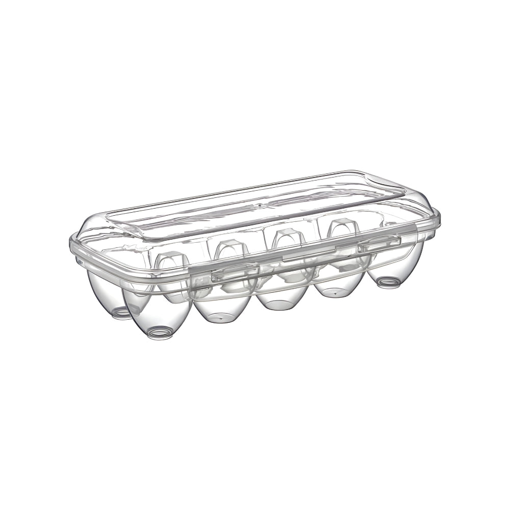 Irak Plastic 10 Eggs Holder Box