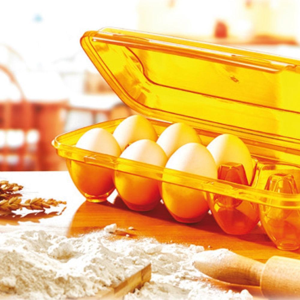 Irak Plastic 10 Eggs Holder Box