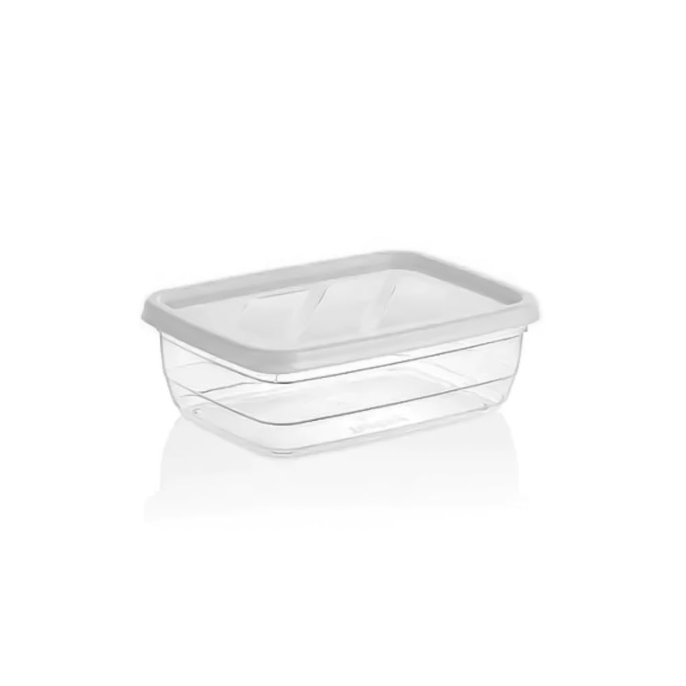 Merwy Plastic Food Storage Box, 3 Pcs