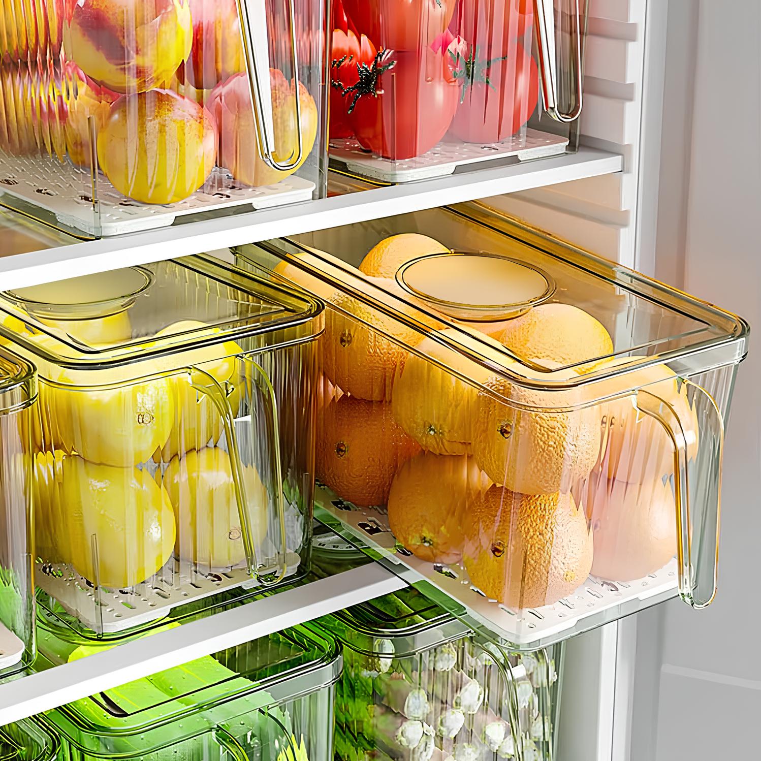 Multifunctional Storage Box With Drainer & Handle