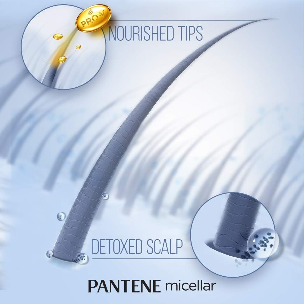 Pantene Pro-V Micellar Detox & Purify Algae Extract Scalp Shampoo 18 Oz