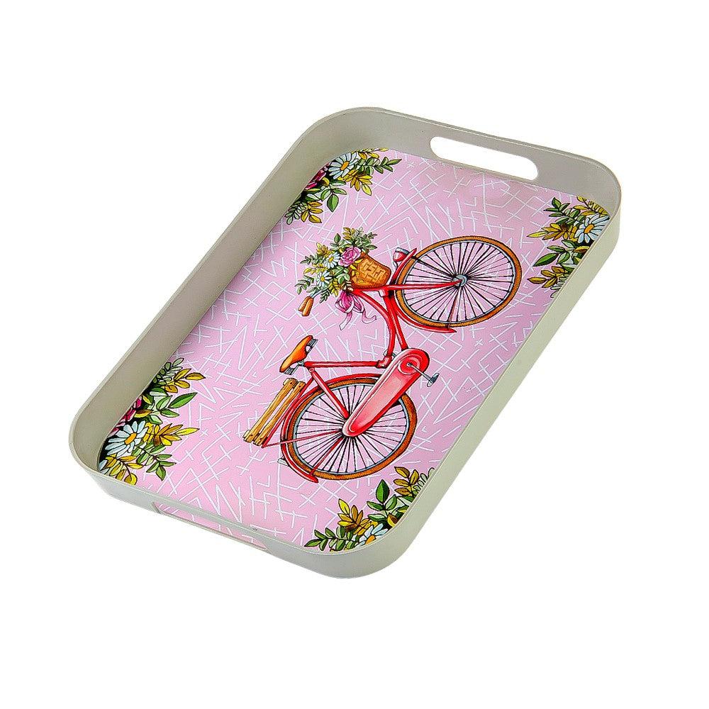 Plastic Tray Painted Bicycle With Flowers