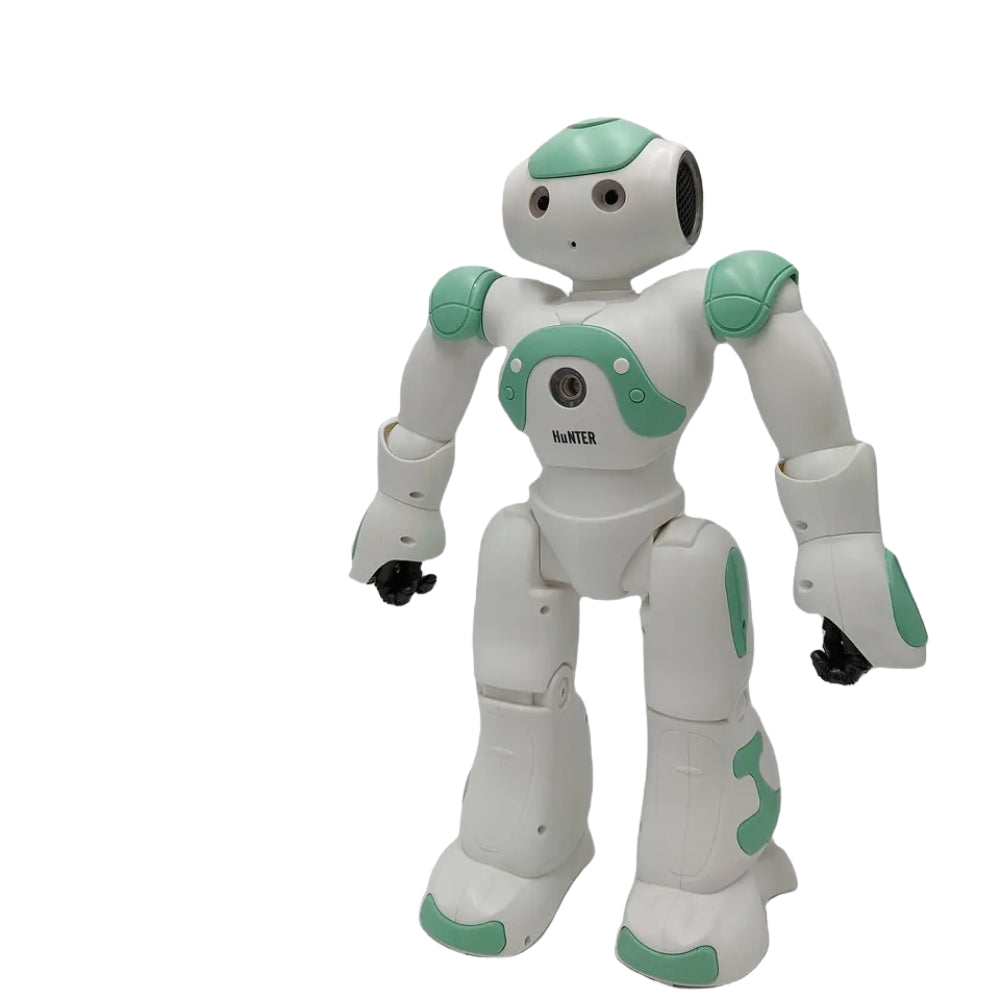 Rc Robot Toy for Kid Tech Sing Walk Interactive Function Usb Charging