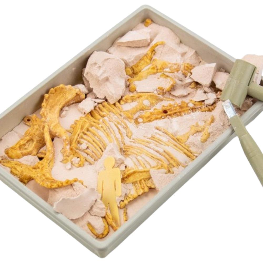 Science 4 you Triceratops Fossil Excavation