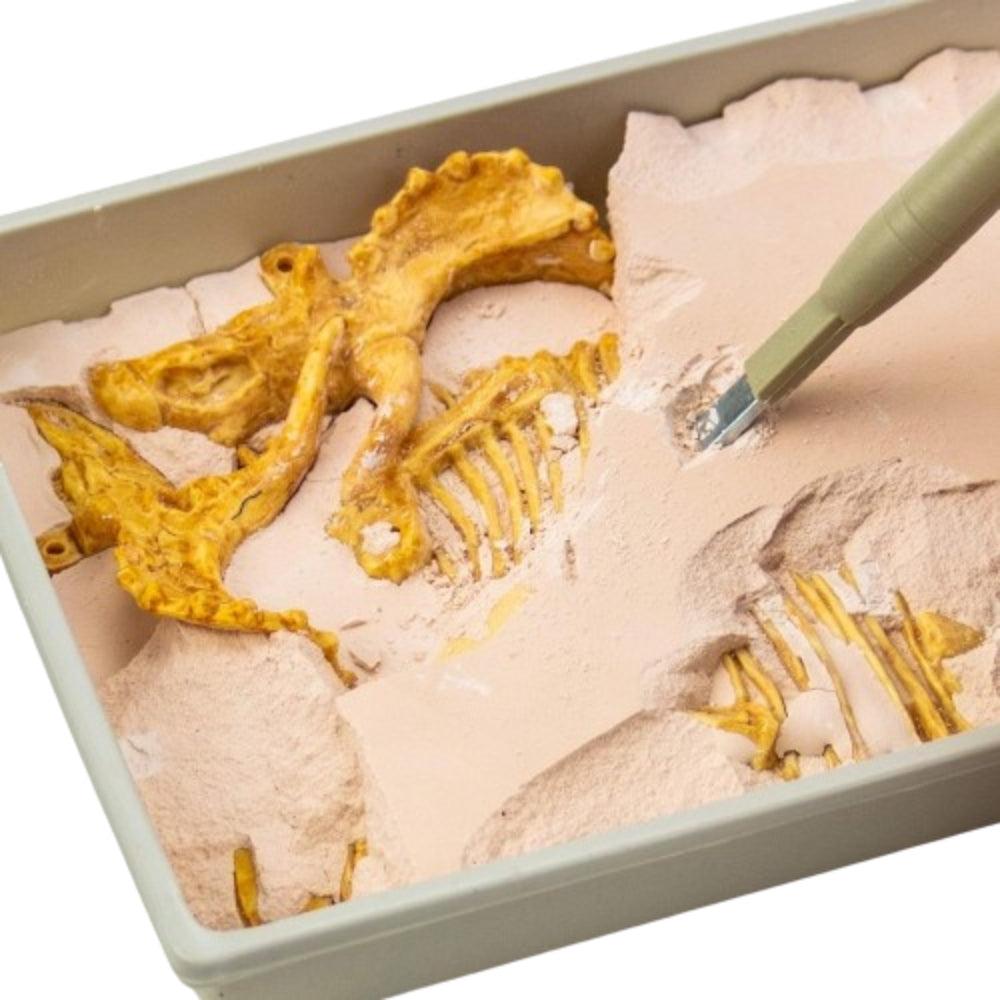 Science 4 you Triceratops Fossil Excavation