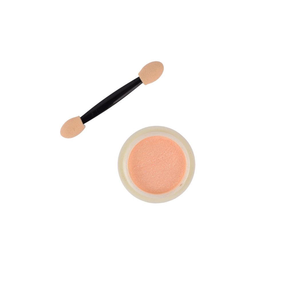 Shimmery Nail Art Powder 11