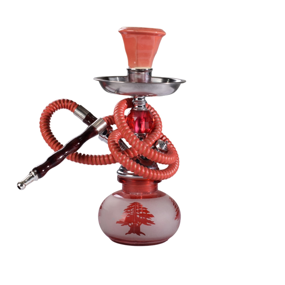 Small Hookah Pink Full Accessories