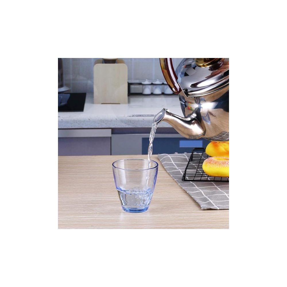 Whistling Kettle Stainless Steel Matt Finish 1L