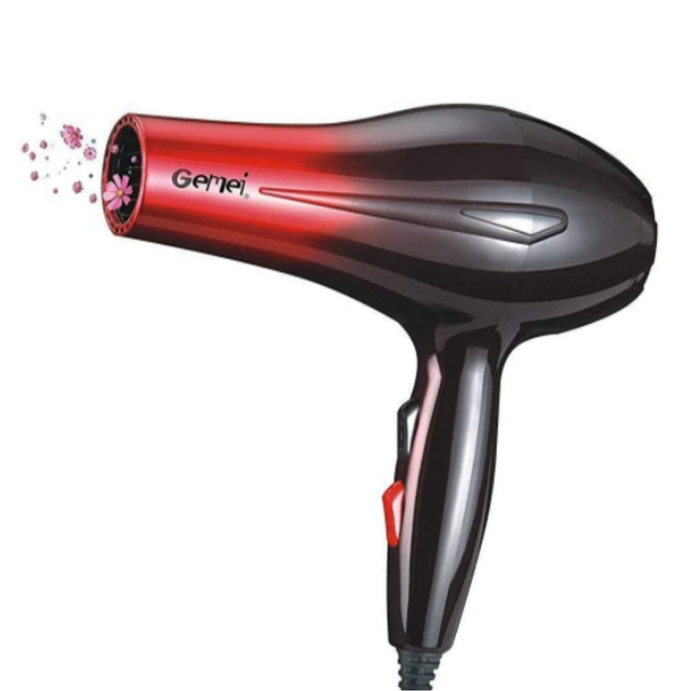 Gemei GM-1719 Professional Hair Dryer